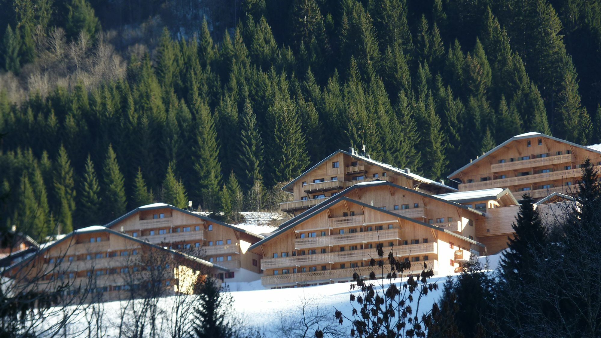Residence Nemea Le Grand Lodge Châtel Екстериор снимка