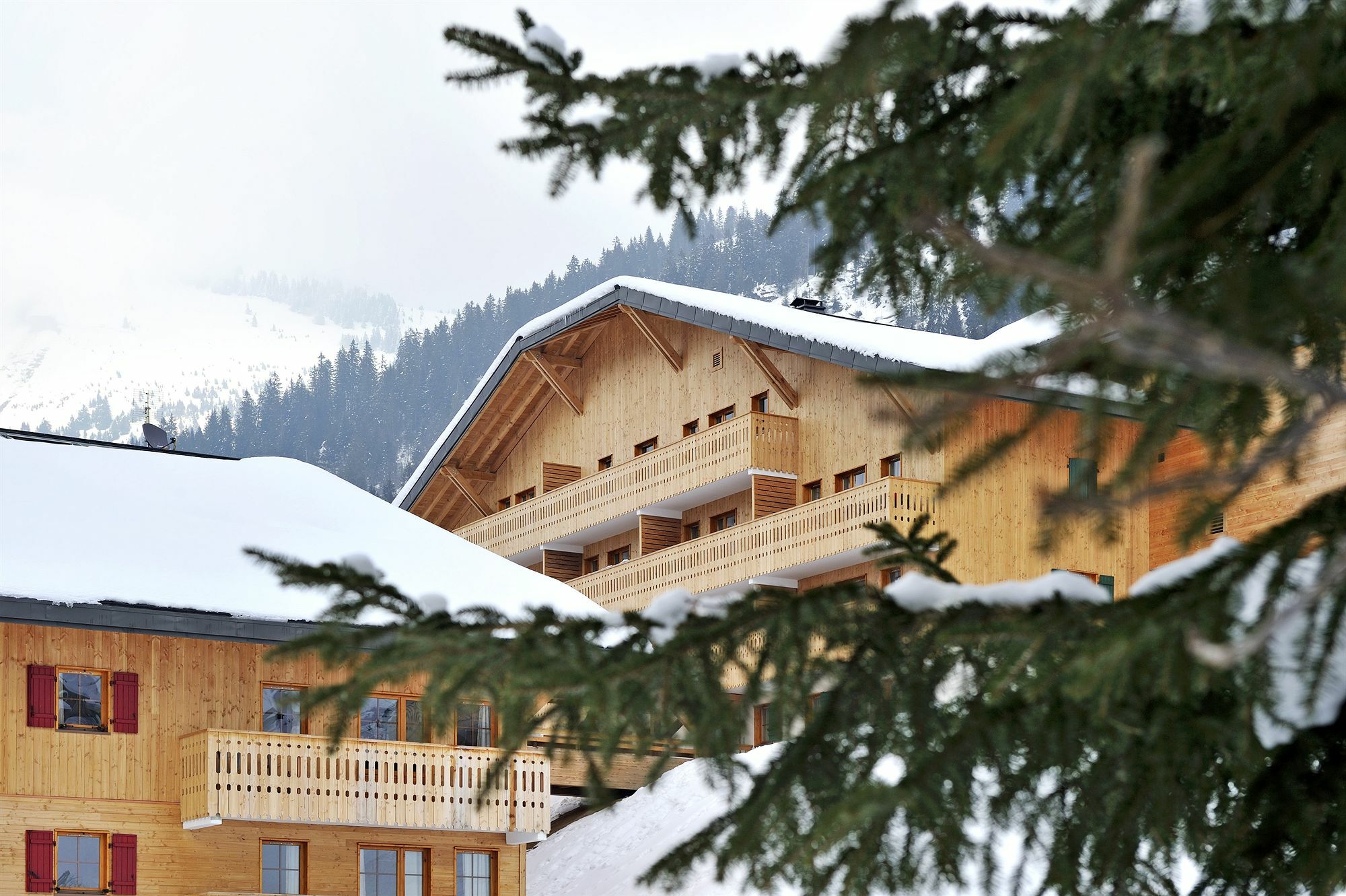 Residence Nemea Le Grand Lodge Châtel Екстериор снимка